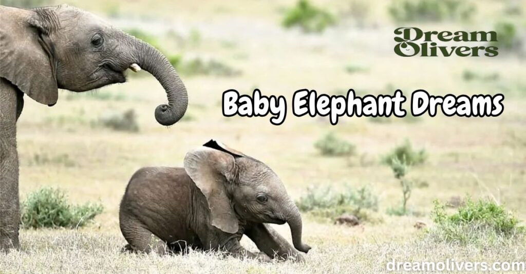 Baby Elephant Dreams