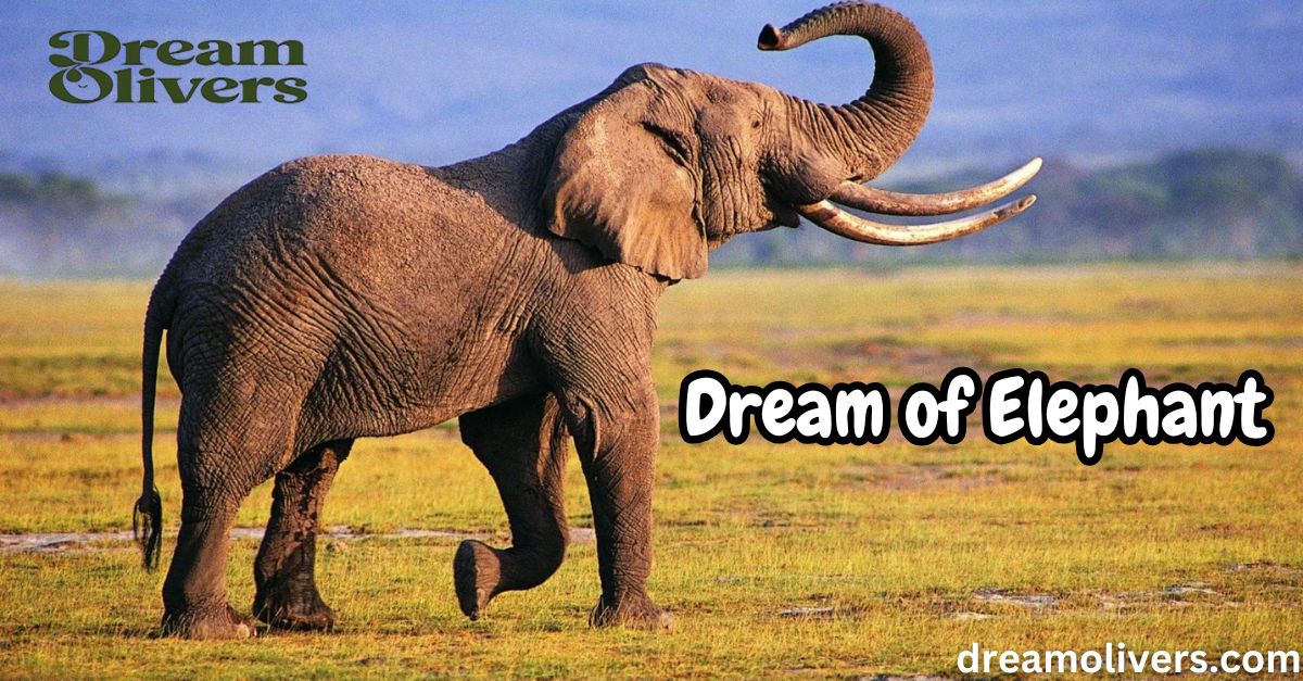 Dream of Elephant Symbolism and Spiritual Significance