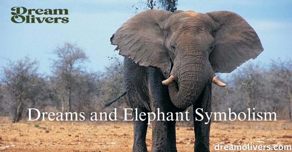 Dreams and Elephant Symbolism