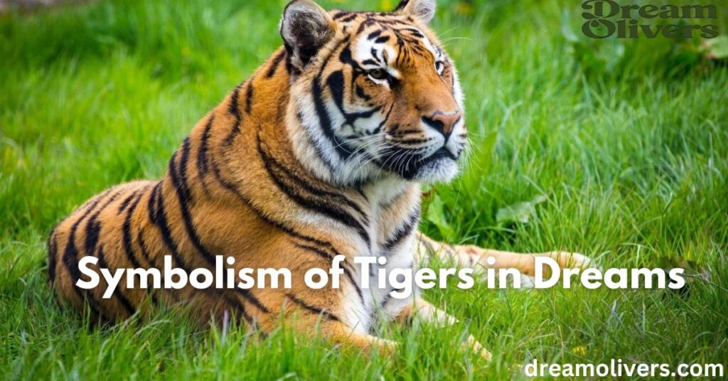 The Symbolism of Tigers in Dreams