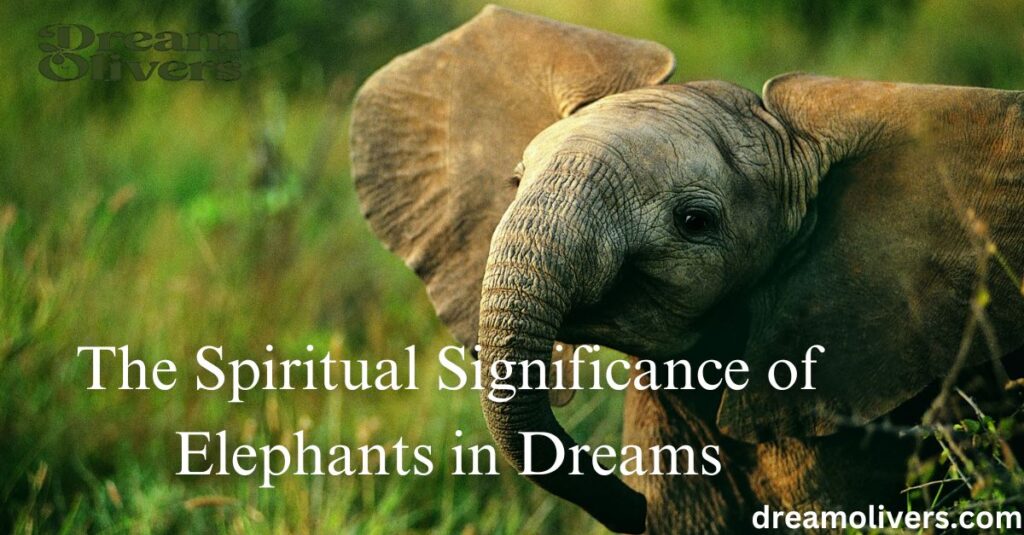 The Spiritual Significance of Elephants in Dreams