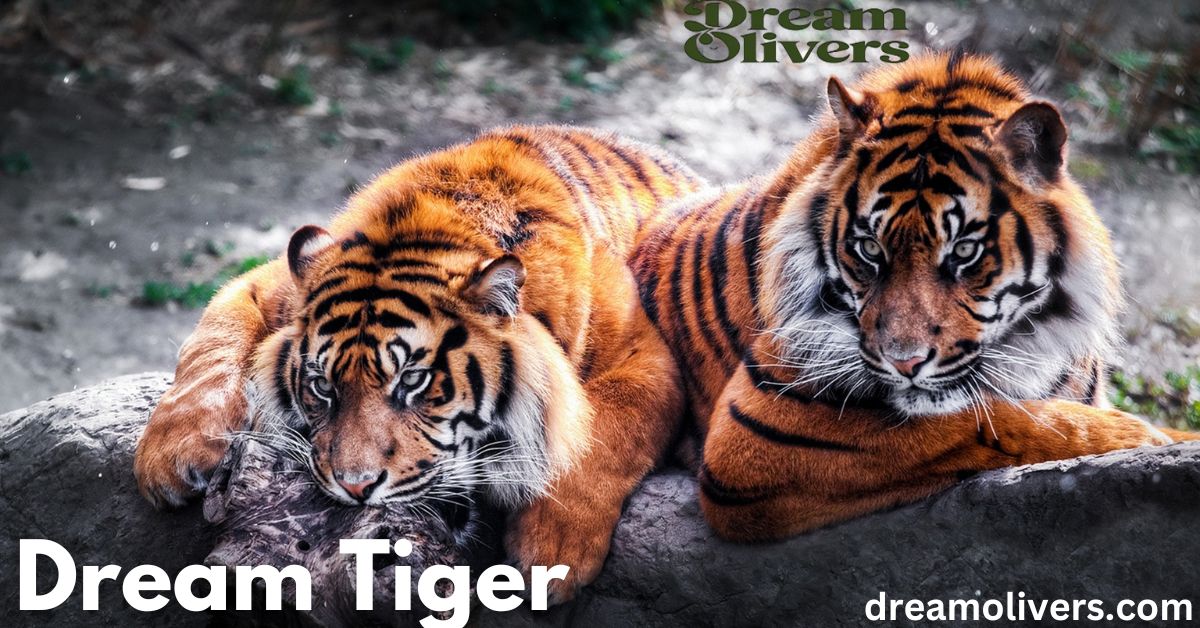 Unveiling the Meaning Behind Dream Tiger Symbolism and Interpretation