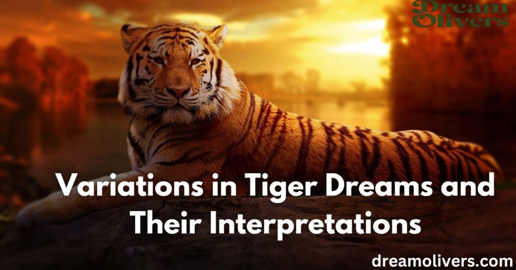 Variations in Tiger Dreams and Their Interpretations