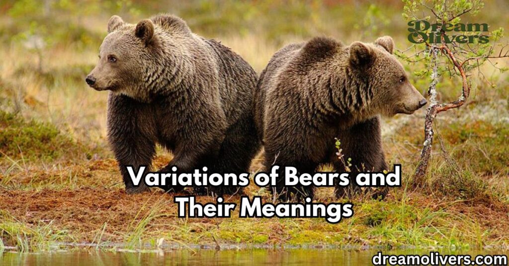 Variations of Bears and Their Meanings