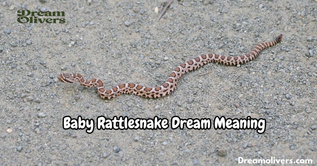 Baby Rattlesnake Dream Meaning