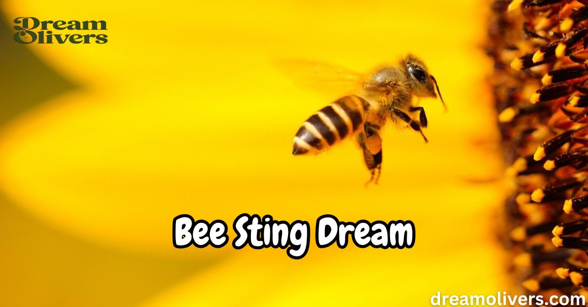 Bee Sting Dream Meaning Unlock the Secrets Behind This Powerful Symbolism