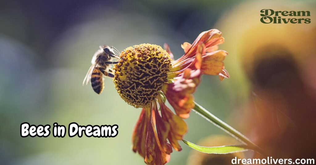 Bees in Dreams The Hives and Their Meaning