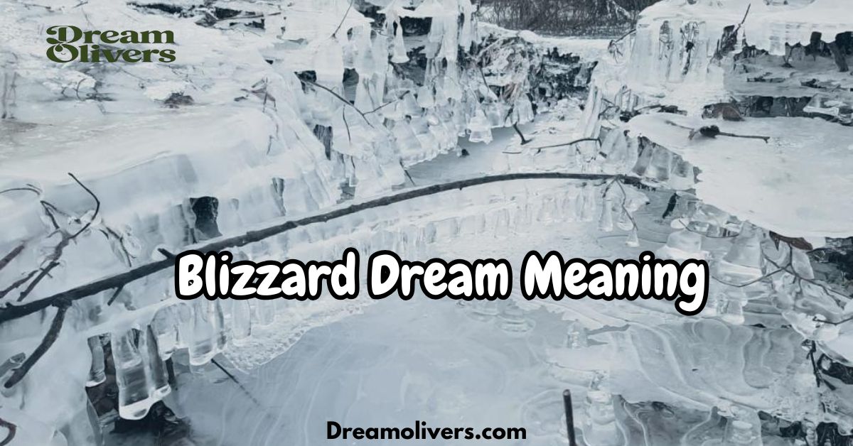 Blizzard Dream Meaning