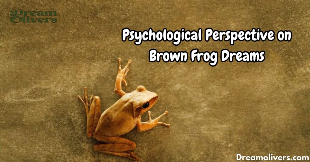 Brown Frog Dreams