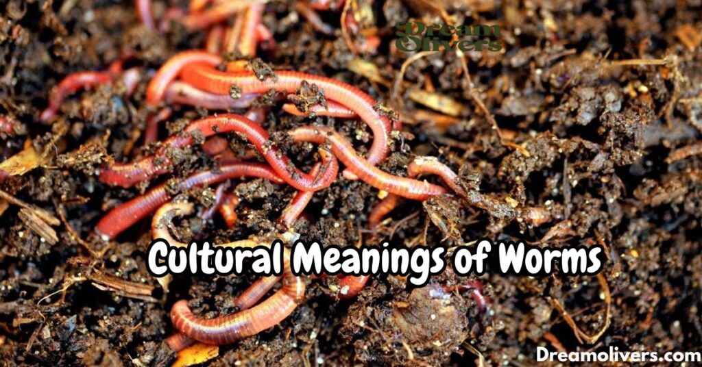 Cultural Meanings of Worms