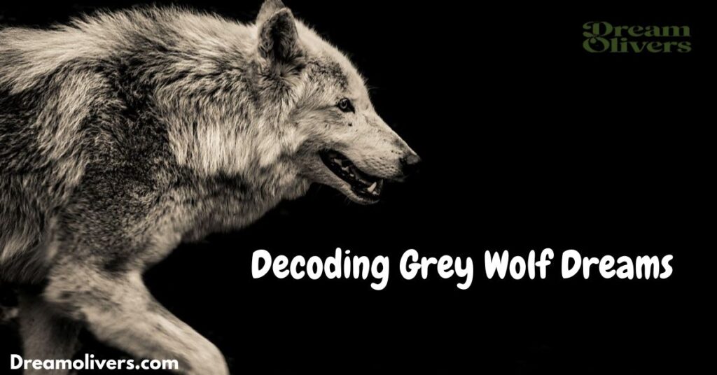 Decoding Grey Wolf Dreams