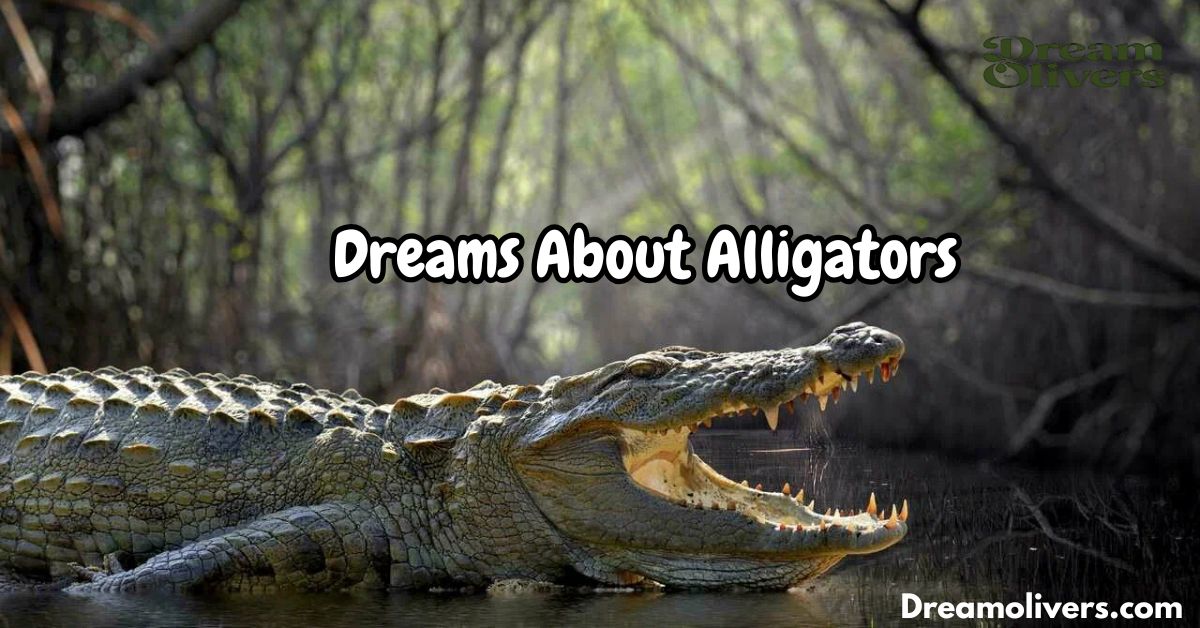 Dreams About Alligators