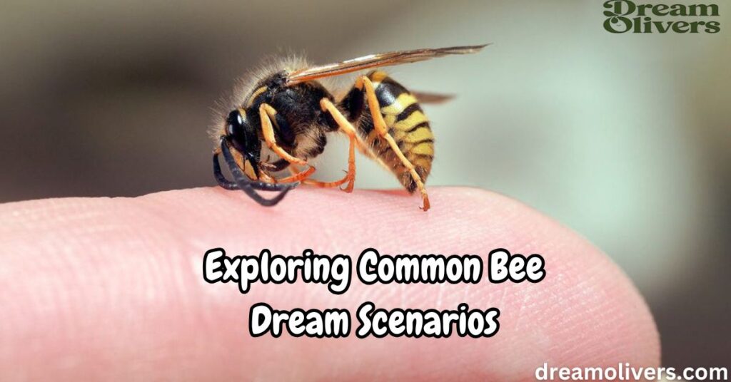 Exploring Common Bee Dream Scenarios