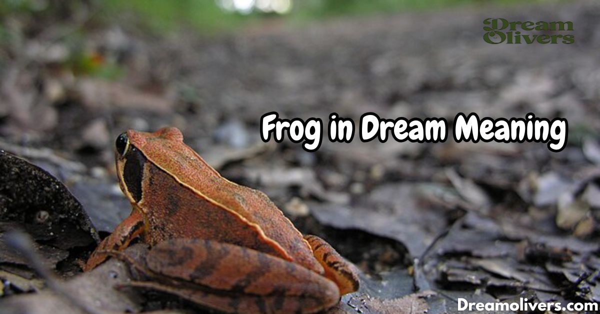 Frog in Dream Meaning