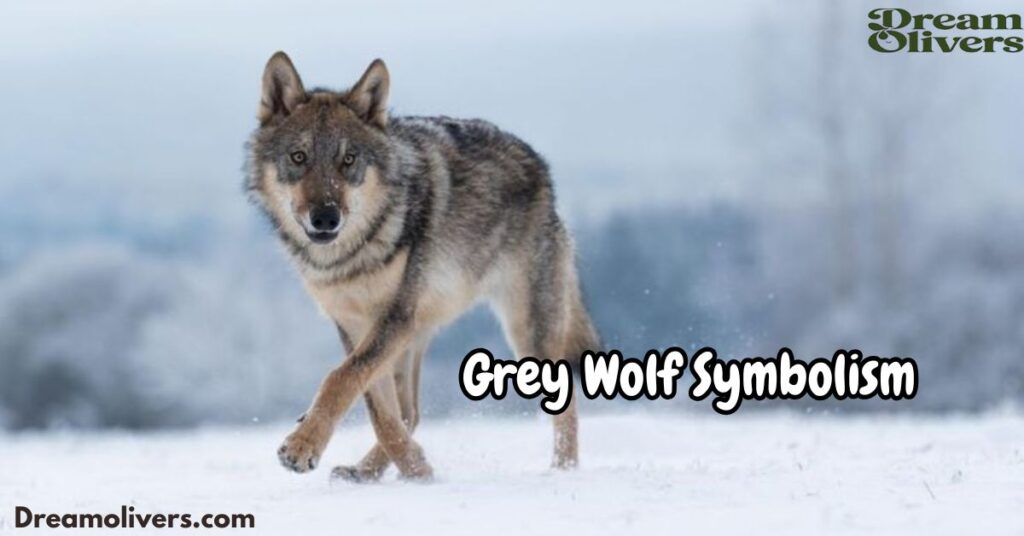 Grey Wolf Symbolism