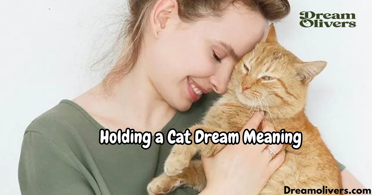 Holding a Cat Dream Meaning