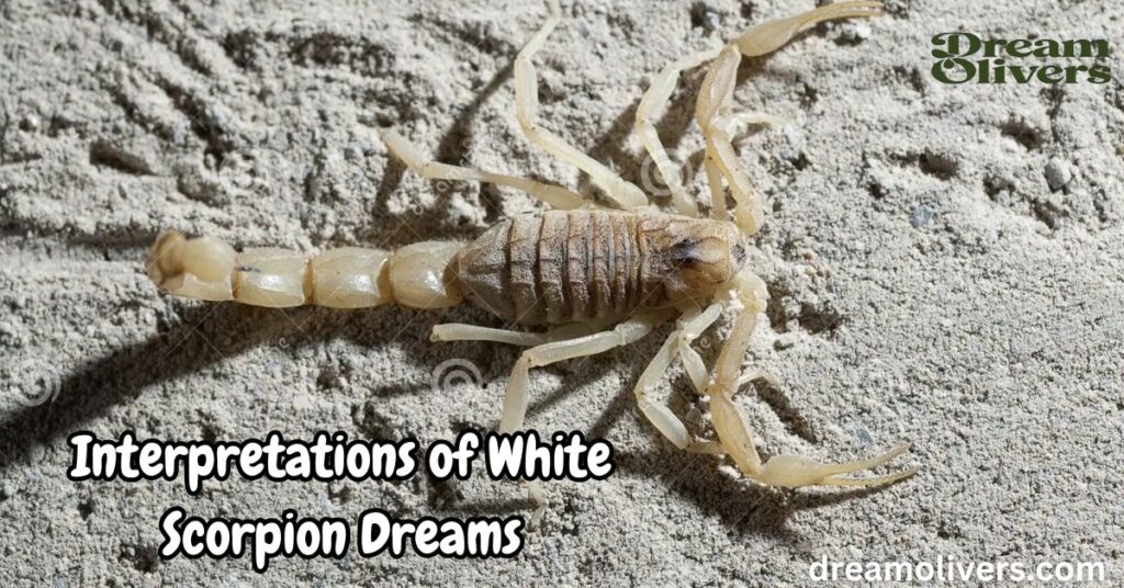 Interpretations of White Scorpion Dreams