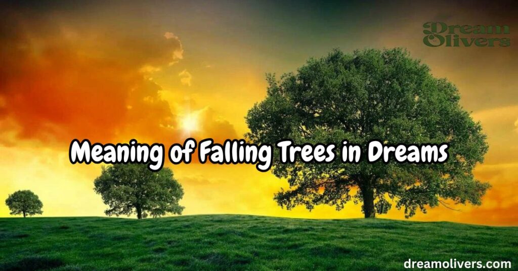 Meaning of Falling Trees in Dreams