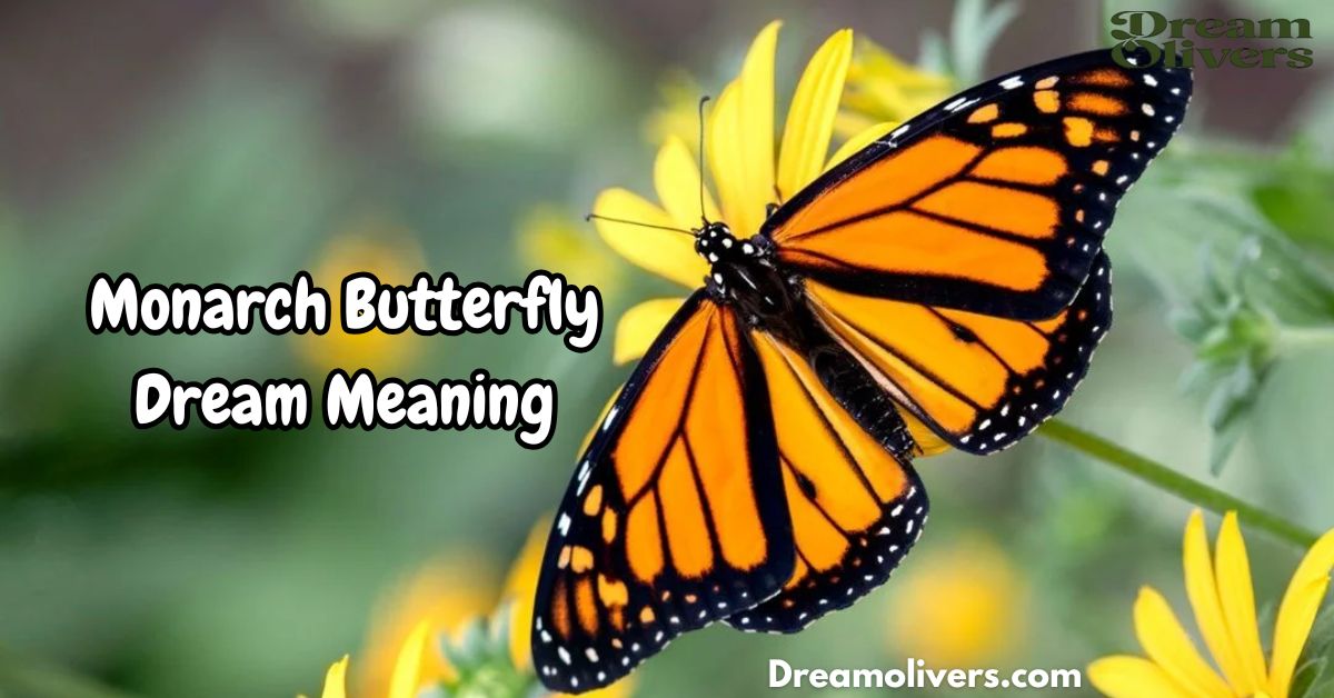 Monarch Butterfly Dream Meaning