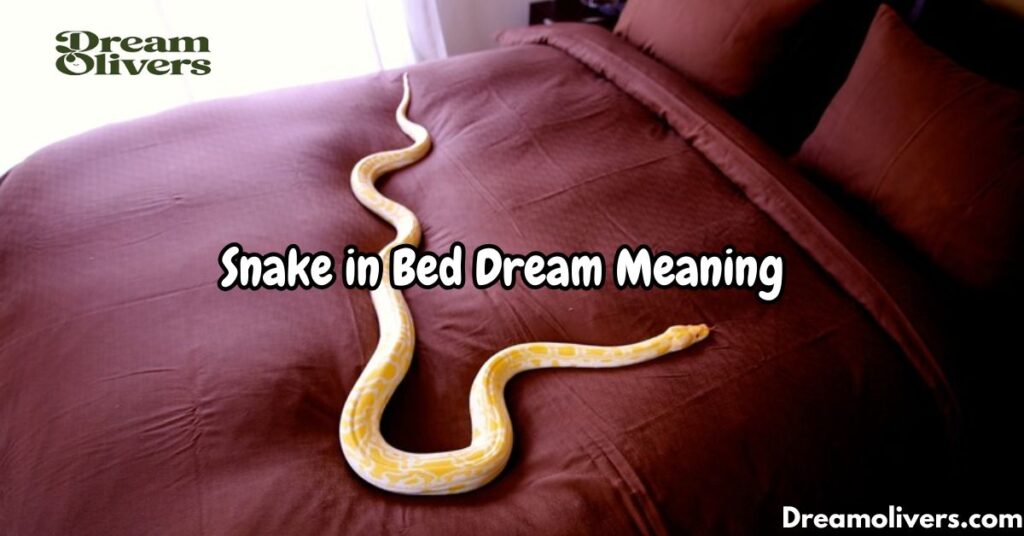 Snake in Bed Dream Meaning