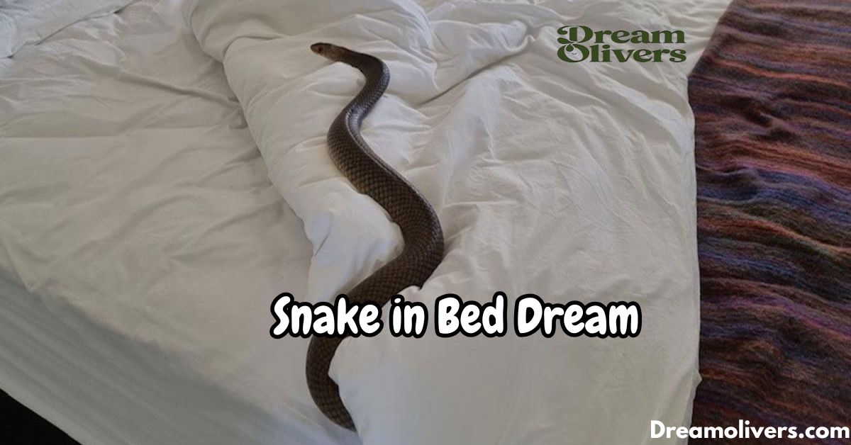 Snake in Bed Dream