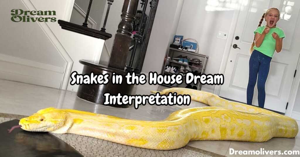 Snakes in the House Dream Interpretation