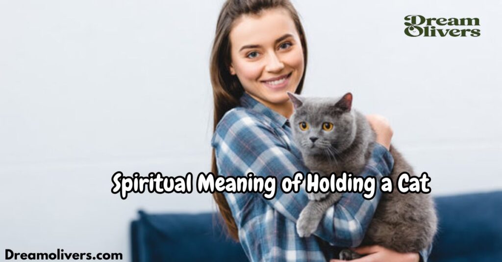 Spiritual Meaning of Holding a Cat