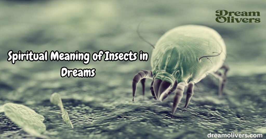  Spiritual Meaning of Insects in Dreams