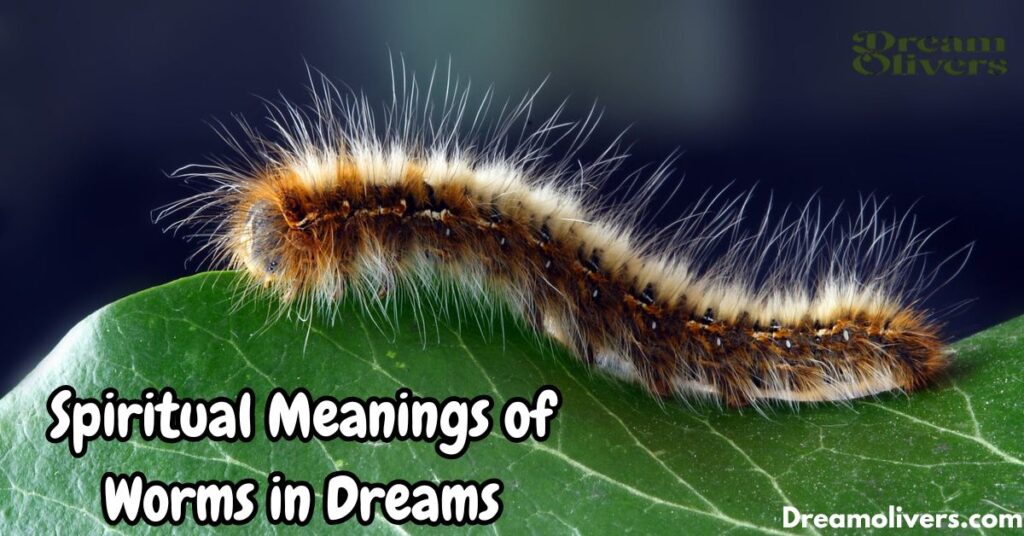 Spiritual Meanings of Worms in Dreams