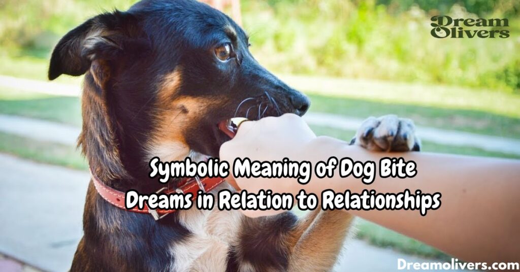 Symbolic Meaning of Dog Bite Dreams in Relation to Relationships