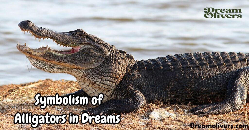  Symbolism of Alligators in Dreams