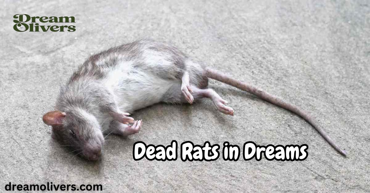 Unveiling the Spiritual Meanings of Dead Rats in Dreams A Step-by-Step Guide