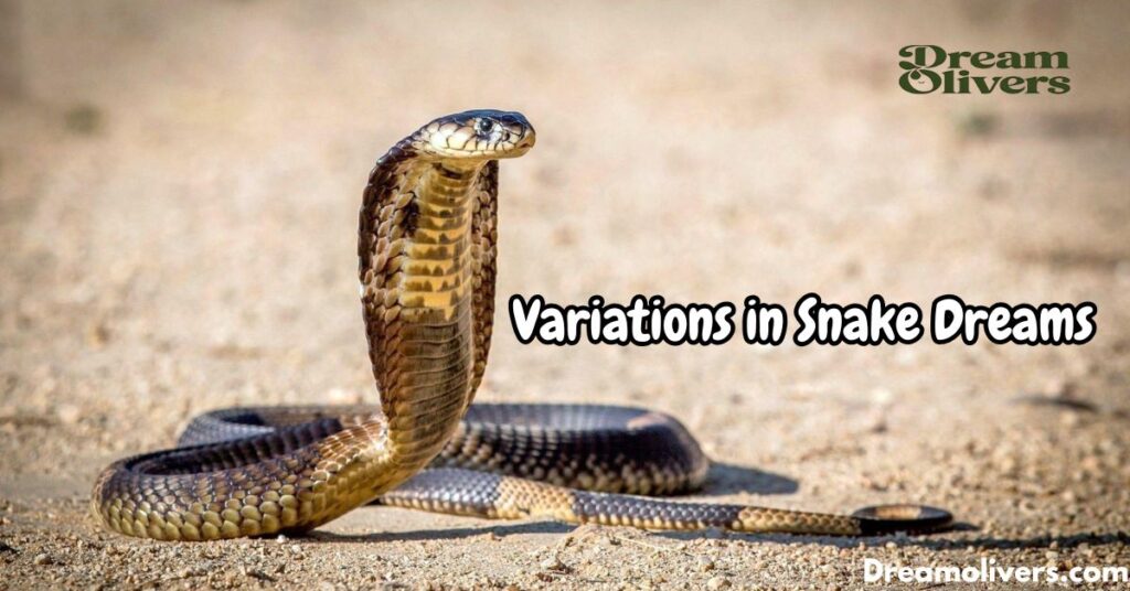 Variations in Snake Dreams