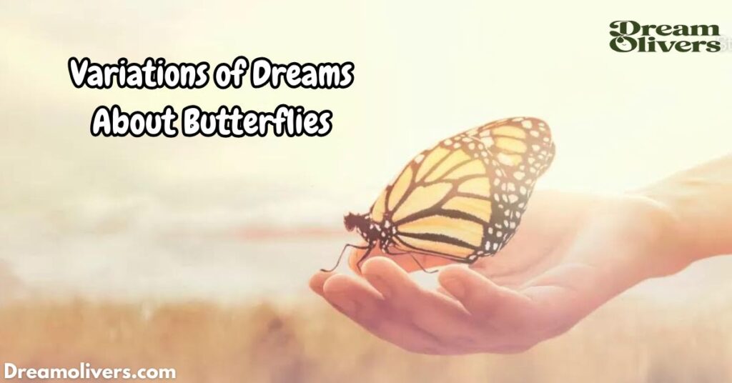 Variations of Dreams About Butterflies