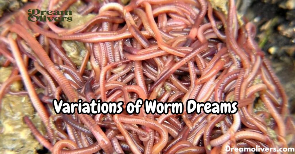 Variations of Worm Dreams 