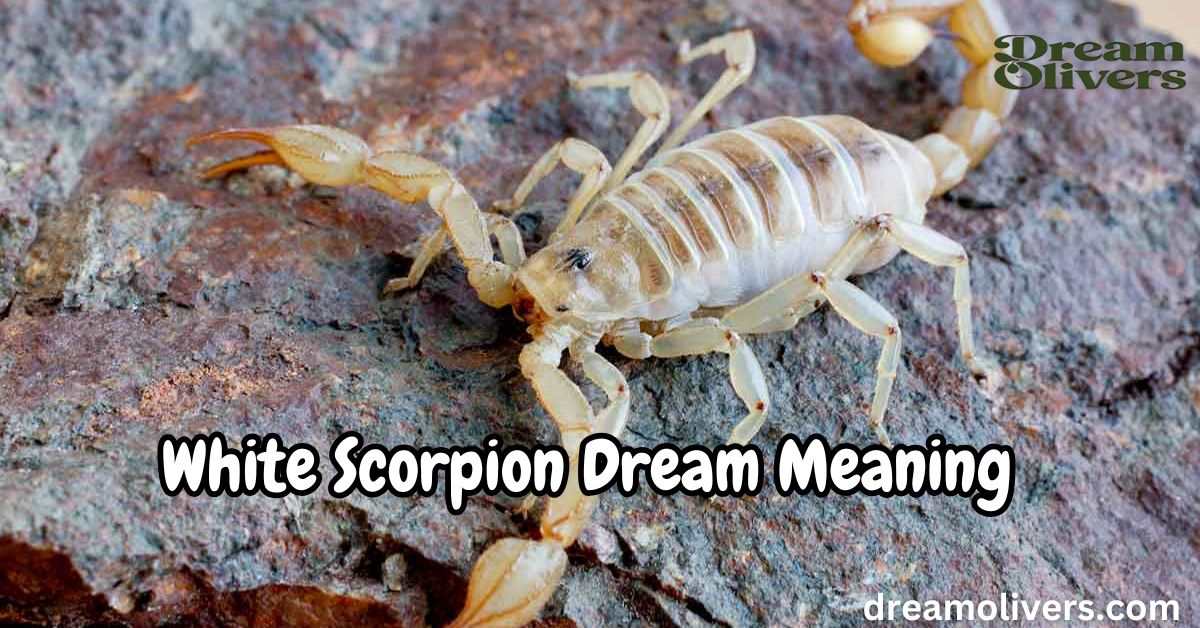 White Scorpion Dream Meaning