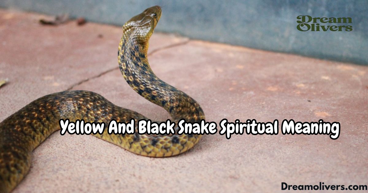 Yellow And Black Snake Spiritual Meaning