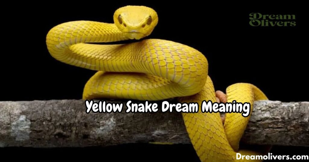 Yellow Snake Dream Meaning