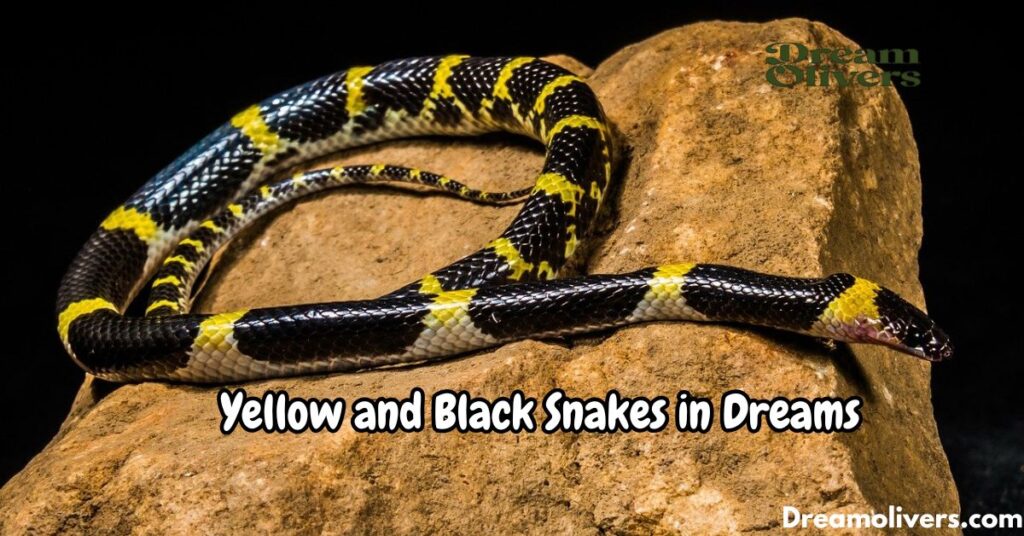 Yellow and Black Snakes in Dreams