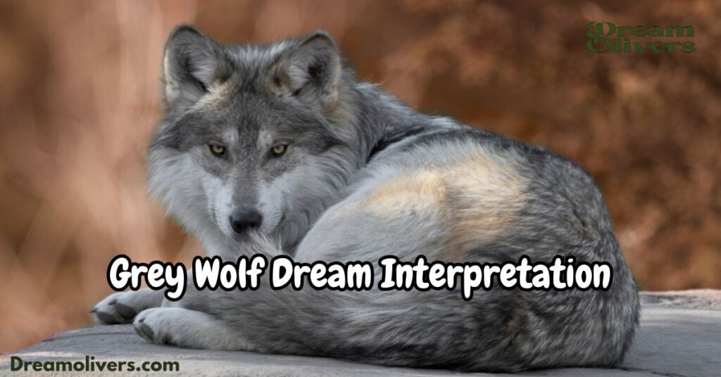 dream about a wolf