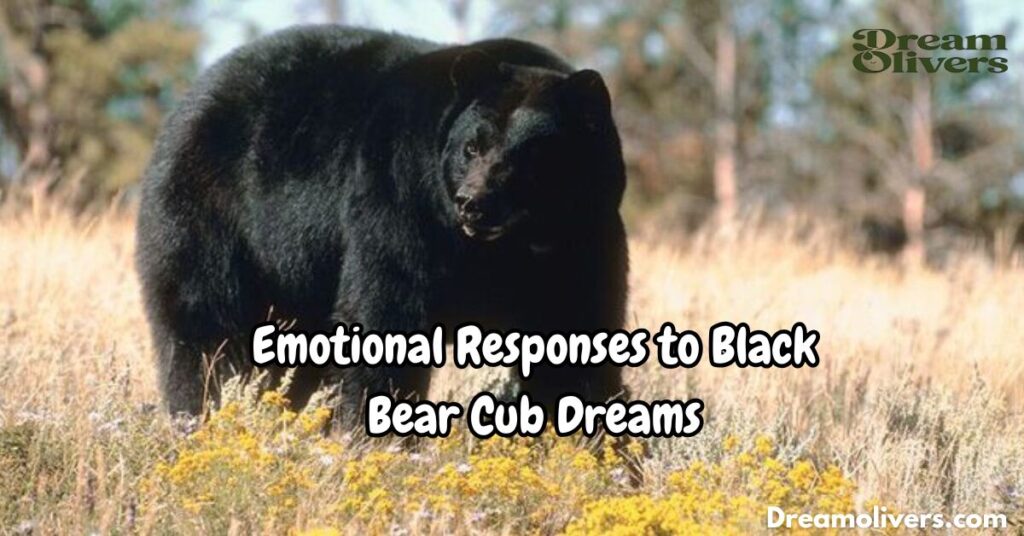 dreaming of a black bear