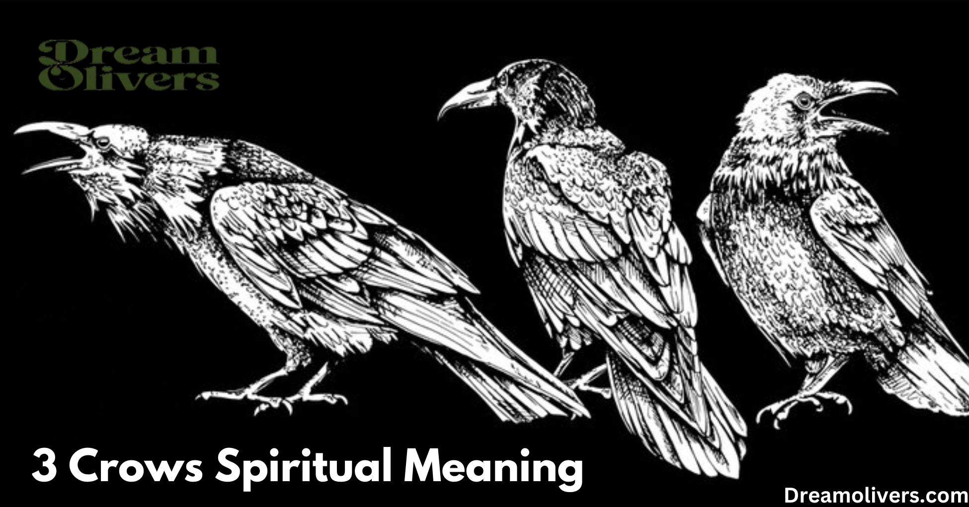 3 crows spiritual meaning