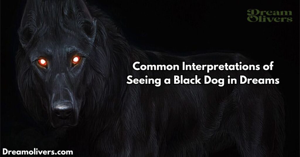 Common Interpretations of Seeing a Black Dog in Dreams