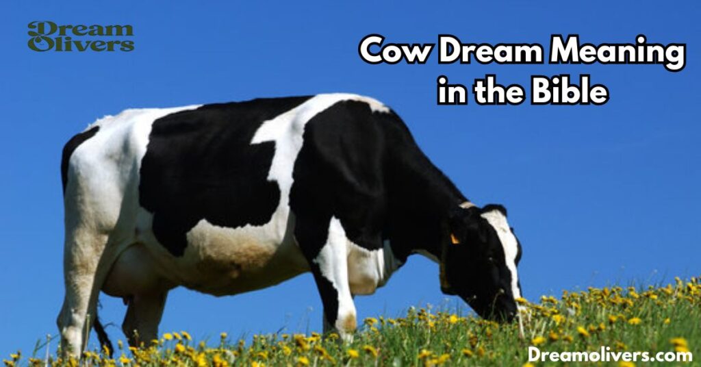 Cow Dream Meaning in the Bible