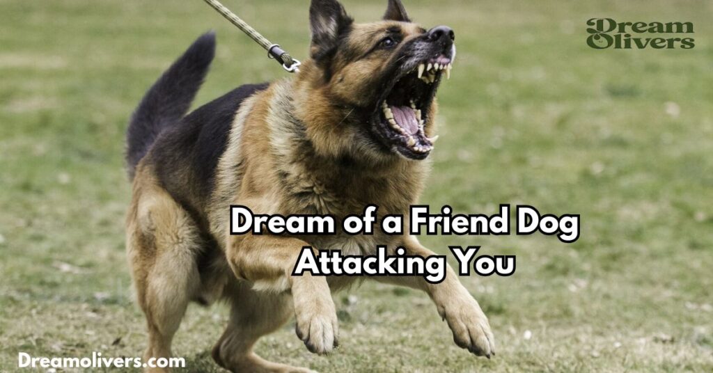 Dream of a Friend Dog Attacking You