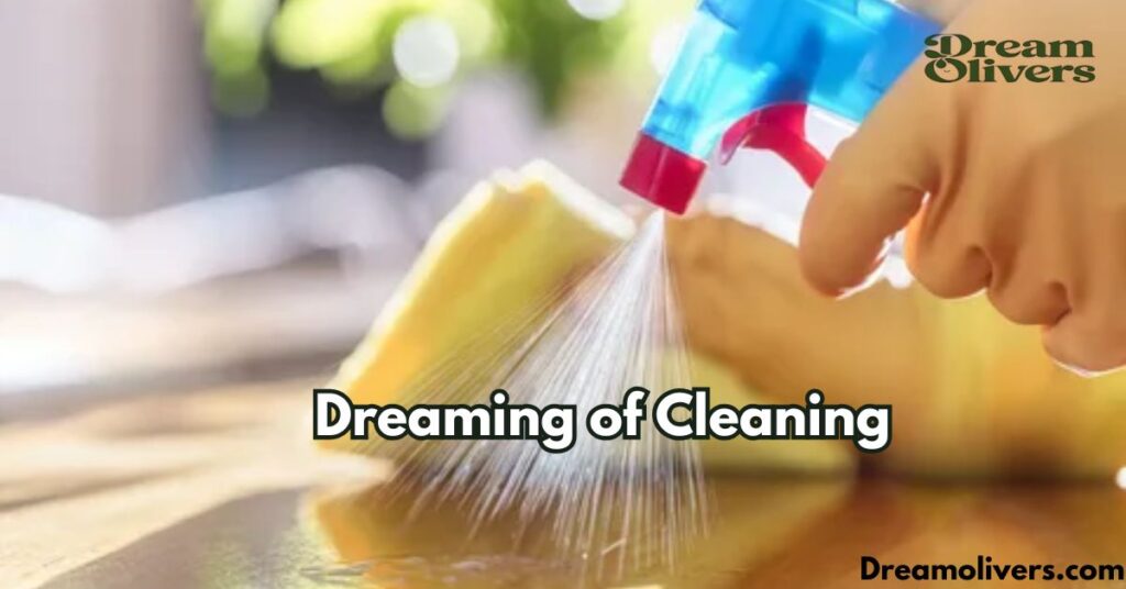 Dreaming of Cleaning