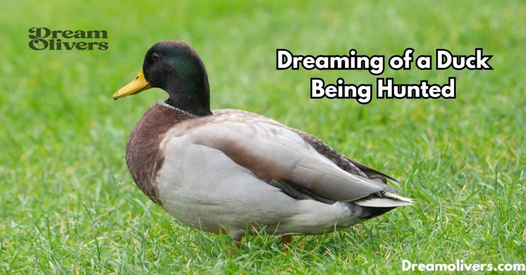 Dreaming of a Duck Being Hunted