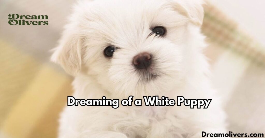 Dreaming of a White Puppy