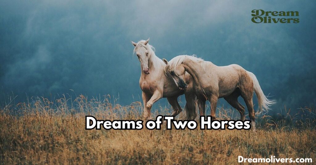 Dreams of Two Horses