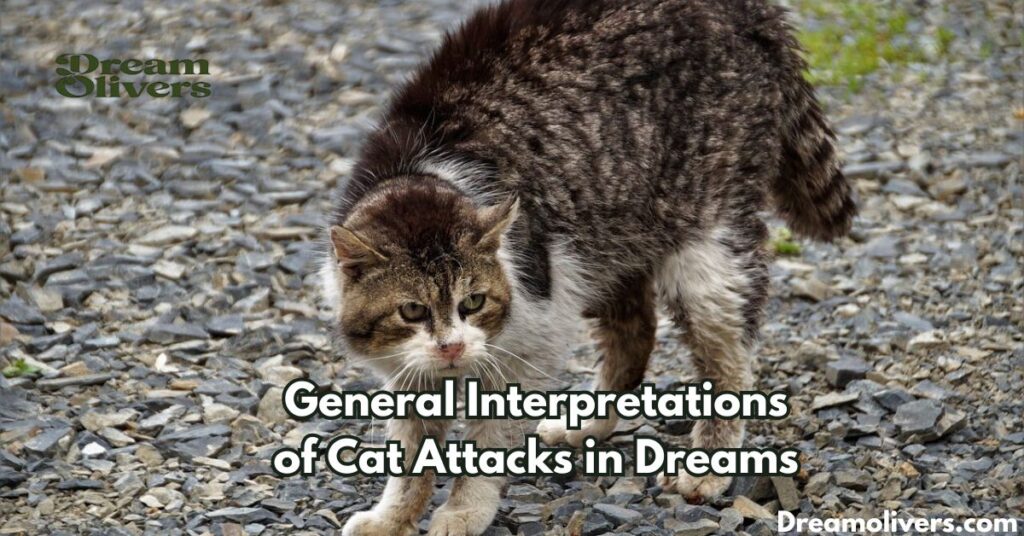 General Interpretations of Cat Attacks in Dreams